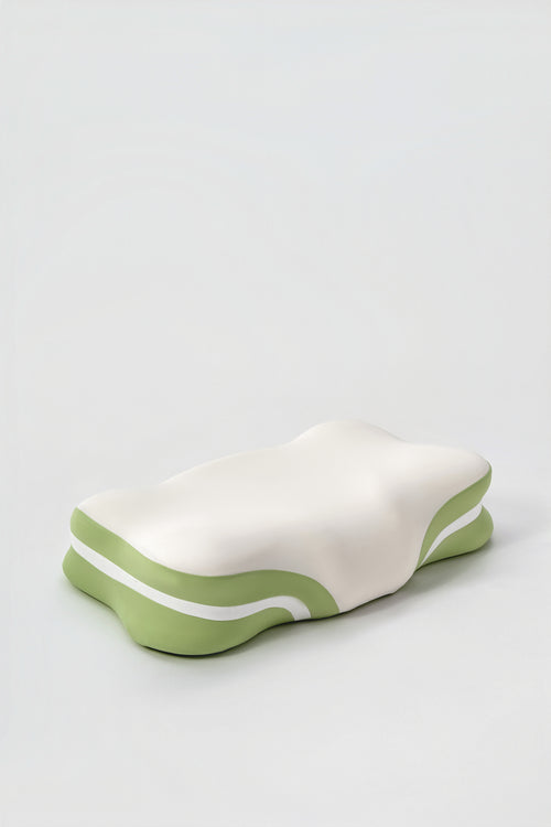 Calmora ErgoSupport Bio-Based Memory Foam Pillow