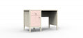 Elly Pink Desk with 1 Drawer and 1 Door